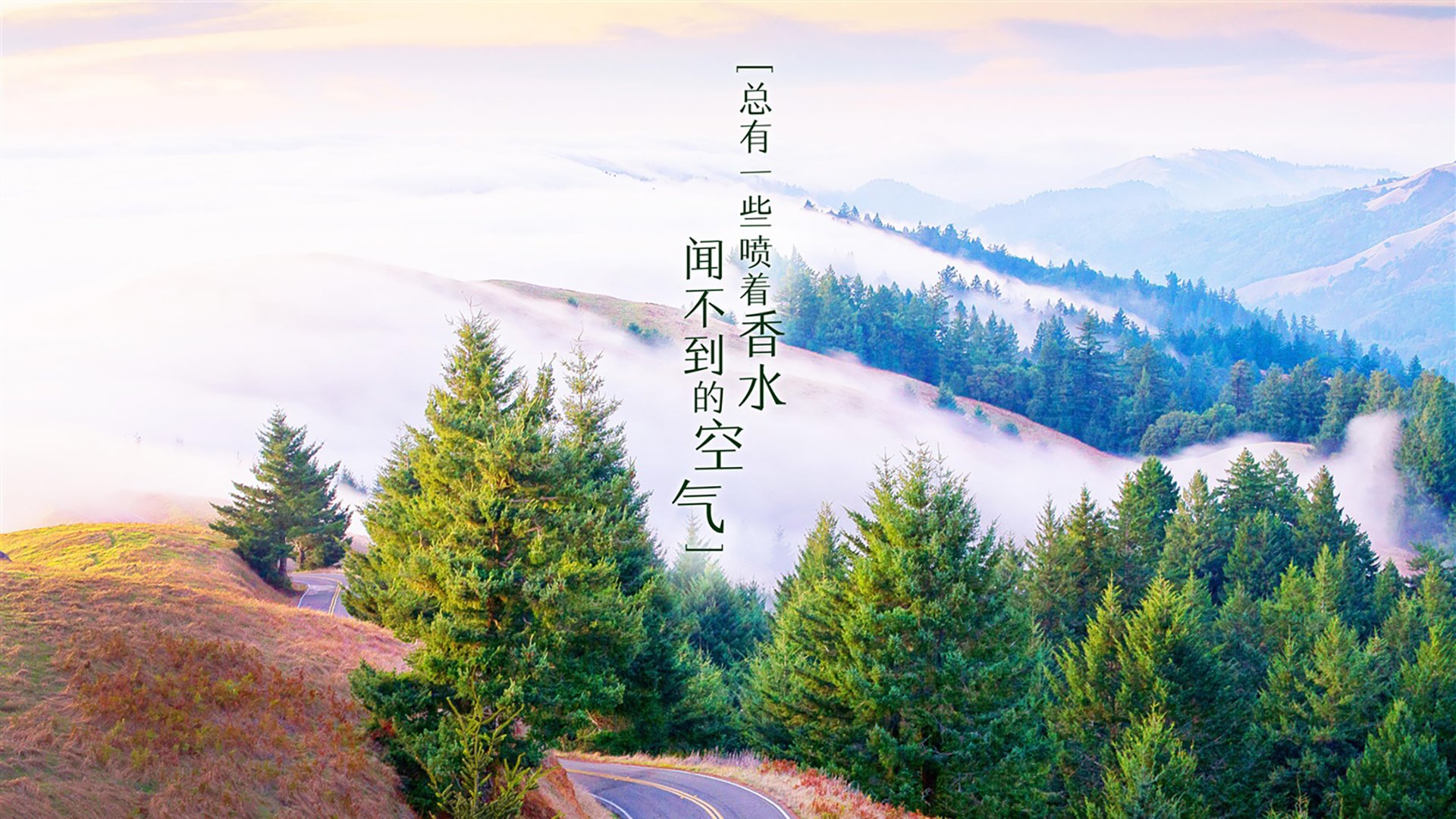 世俱杯直播-“国家队集训营开启，为2026世界杯蓄力”，世界国家队联赛