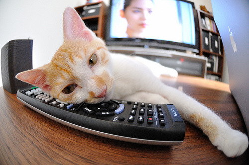 【胜负关键】赛场上的进攻策略与防守艺术对决，进攻策略和防守策略