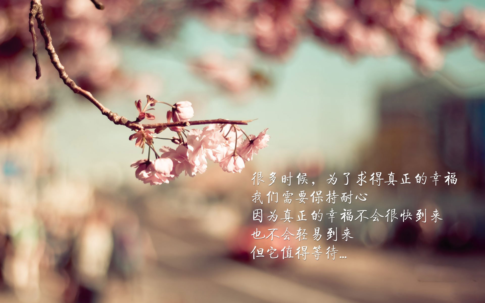 从逆境到荣耀：追寻那段难忘的夺冠历史，从逆境中走出来的经历