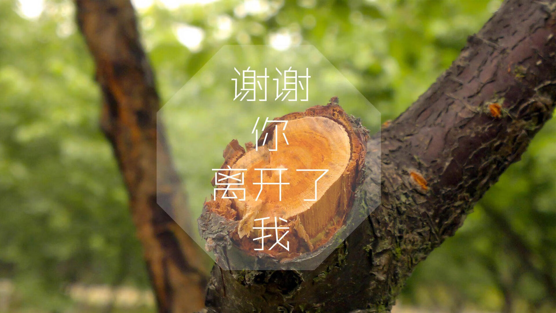 中国篮球青训体系教练员培训机制研究，中国篮协篮球教练员培训班