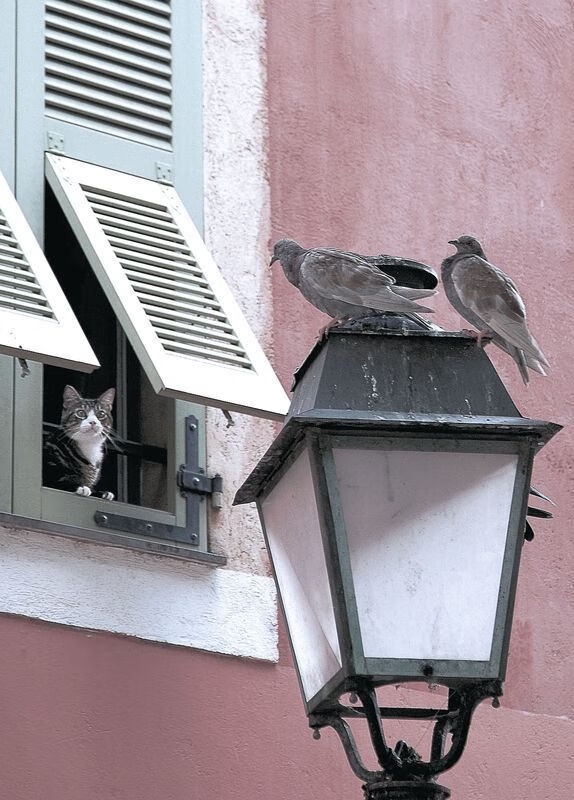 篮球运动员心理素质提升训练策略,篮球心理素质训练方法