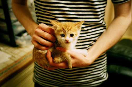 2025世俱杯-网球澳网公开赛中国金花闯入八强，网球澳网公开赛中国金花闯入八强视频