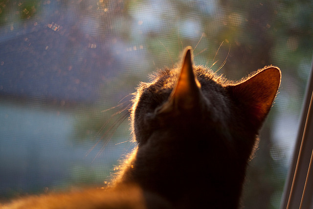 世俱杯直通-中国女篮积极提升投篮命中率，中国女篮积极提升投篮命中率视频