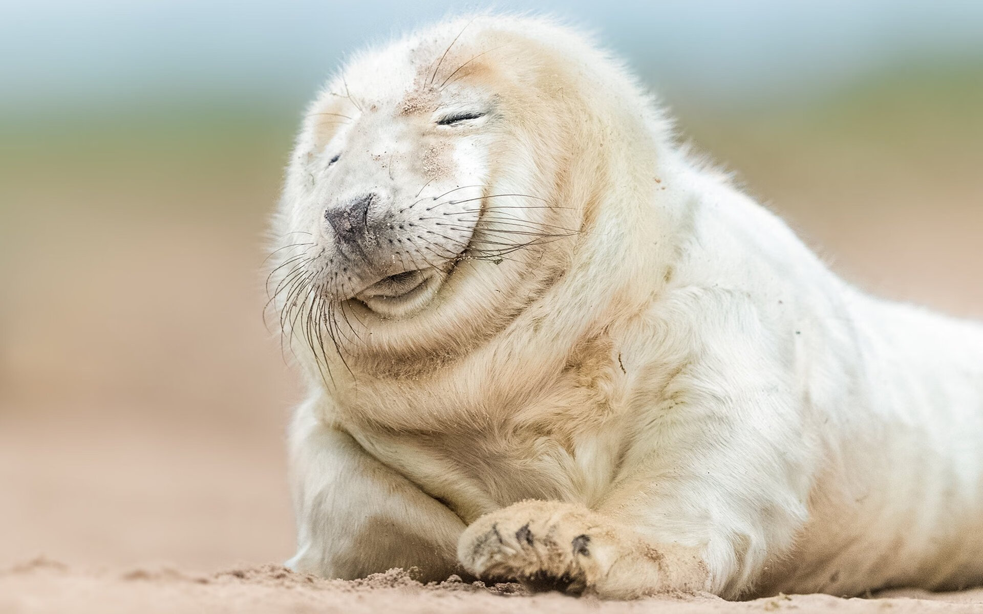 中国队冲击世界杯预选赛 精彩表现备受称赞，中国队世界杯预选赛2022